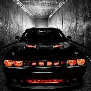 Meet your Posher, Doug